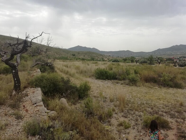 Terrain dans Hondón de los Frailes, Alicante à vendre - Aérien – Image 1 sur 5