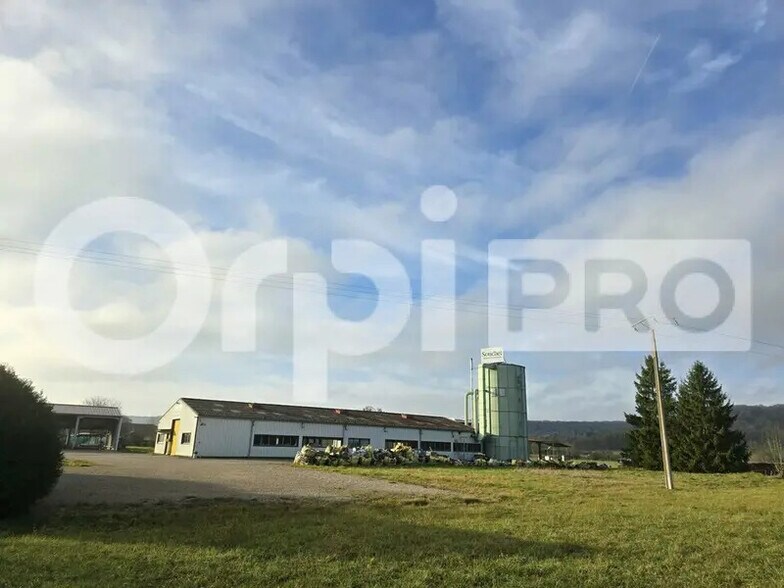 Local d'activités dans Liffol-le-Petit à vendre - Photo de l’immeuble – Image 3 sur 4