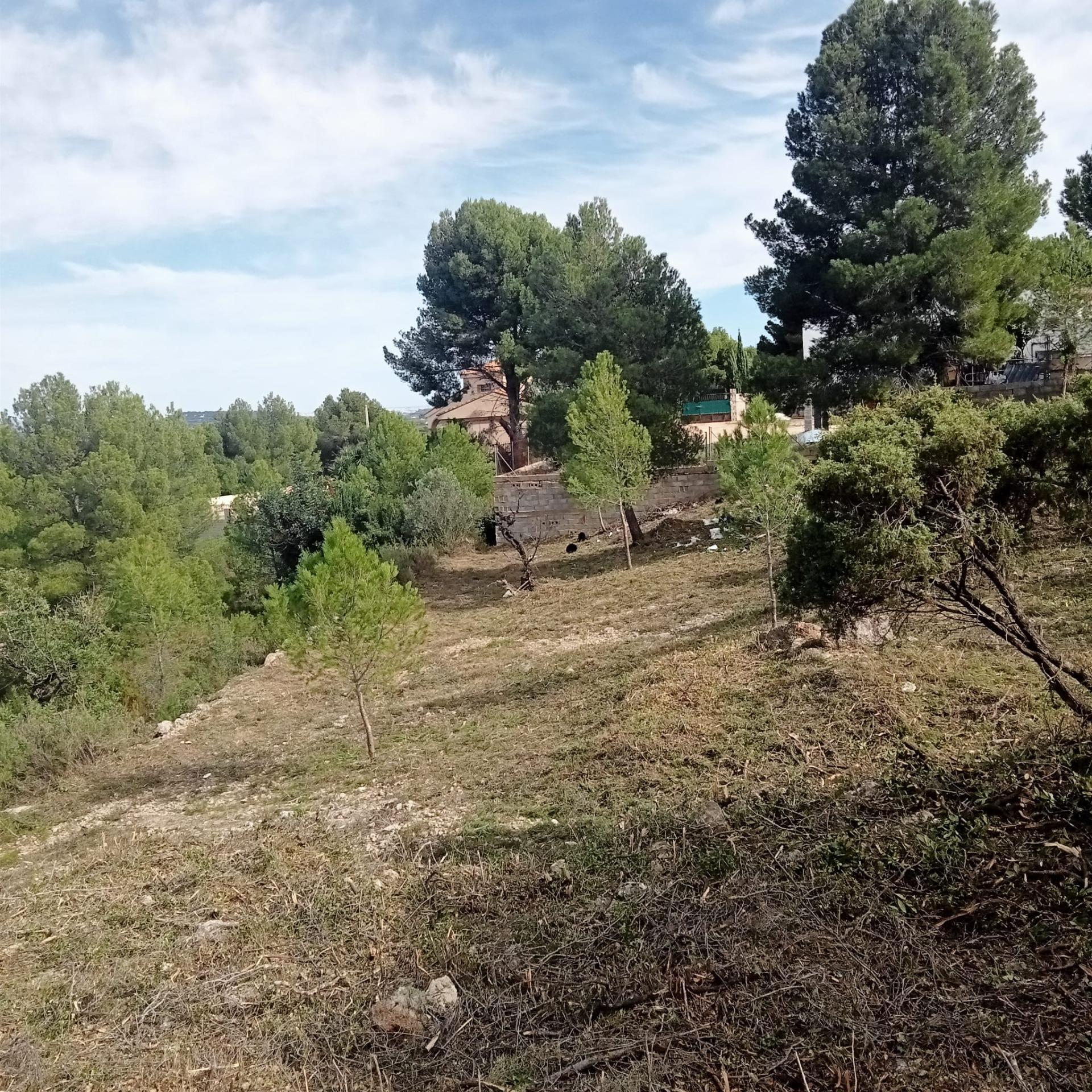 Terrain dans Godelleta, Valencia à vendre Photo principale– Image 1 sur 23
