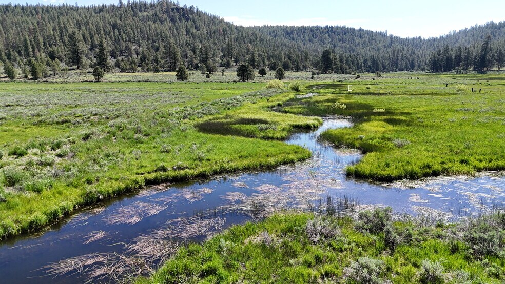 12 Mile Post 12 Fish Hole Creek, Bly, OR à vendre - Photo de l’immeuble – Image 2 sur 34