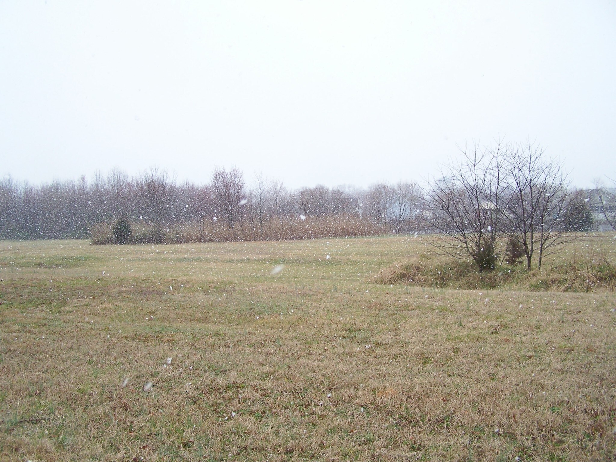 12500 Sussex Hwy, Greenwood, DE à vendre Photo principale– Image 1 sur 13