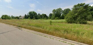 Plus de détails pour 2622 Heartland Blvd, Ionia, MI - Terrain à vendre
