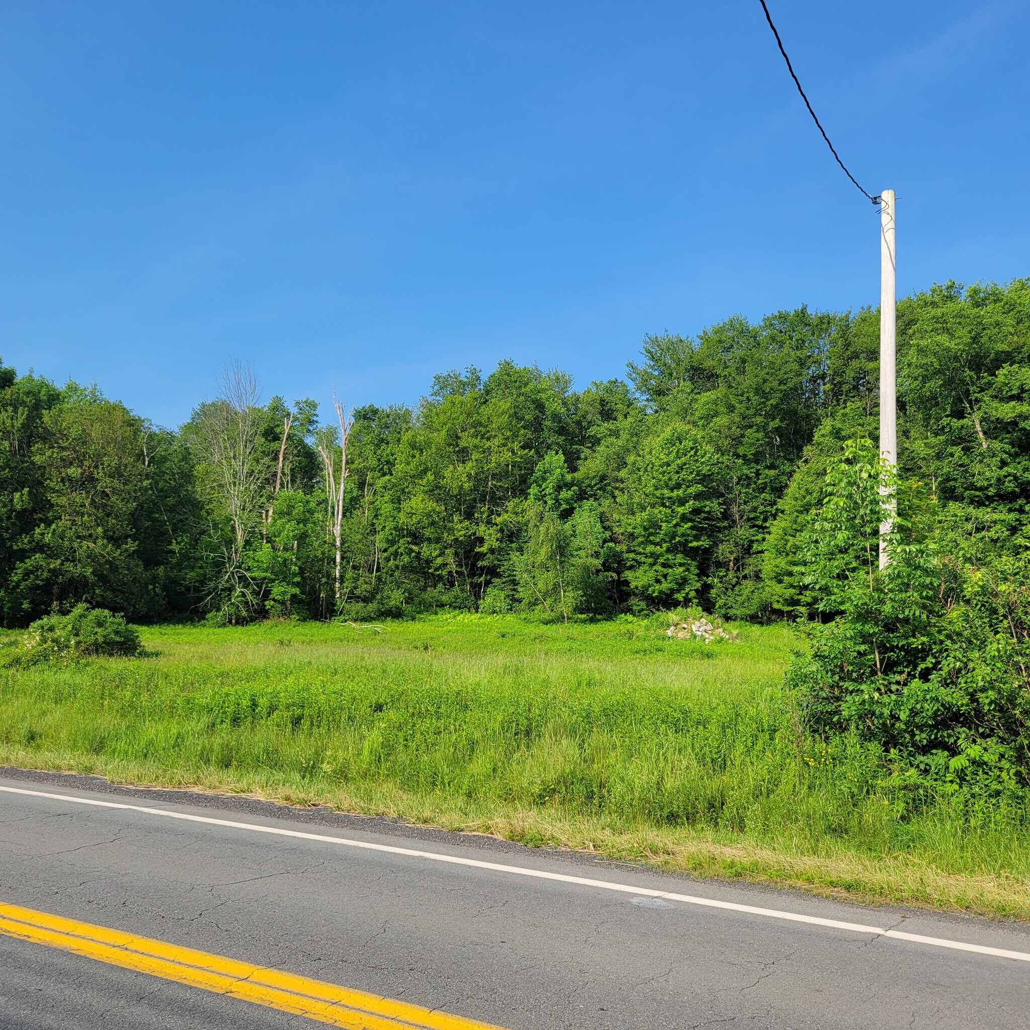 1283 Old Route 17, Ferndale, NY à vendre Photo principale– Image 1 sur 13
