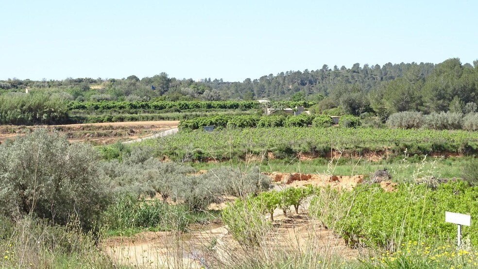 Polígono Enchilagar del Rullo, 16, Vilamarxant, Valencia à vendre - Aérien – Image 3 sur 27