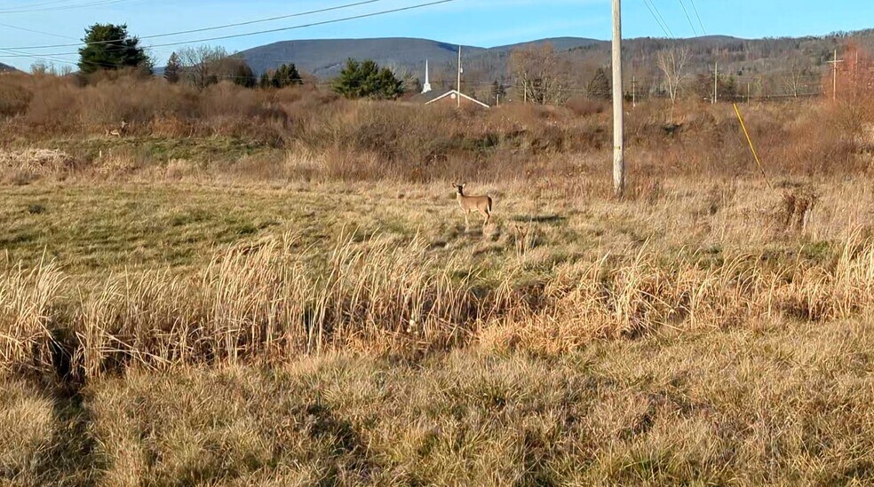 54 Nadalini Dr, Mansfield, PA à vendre - Photo de l’immeuble – Image 1 sur 4