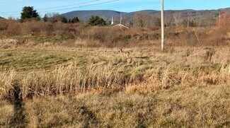 Plus de détails pour 54 Nadalini Dr, Mansfield, PA - Terrain à vendre