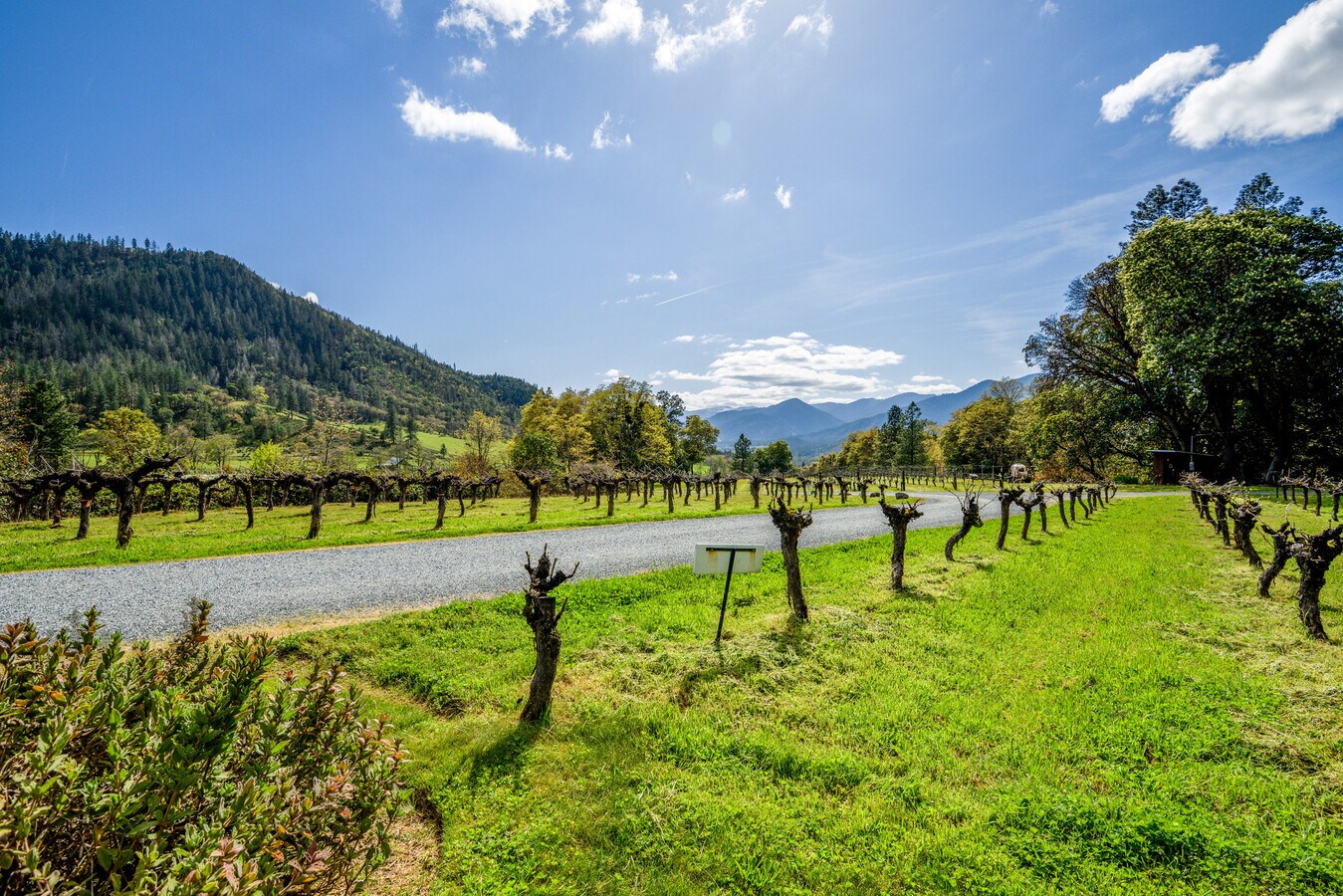 View Photo