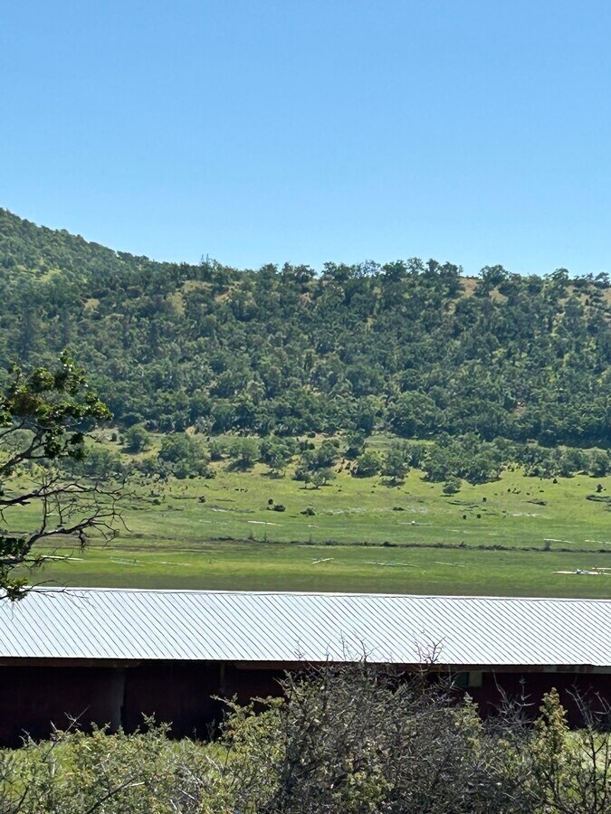 View Photo