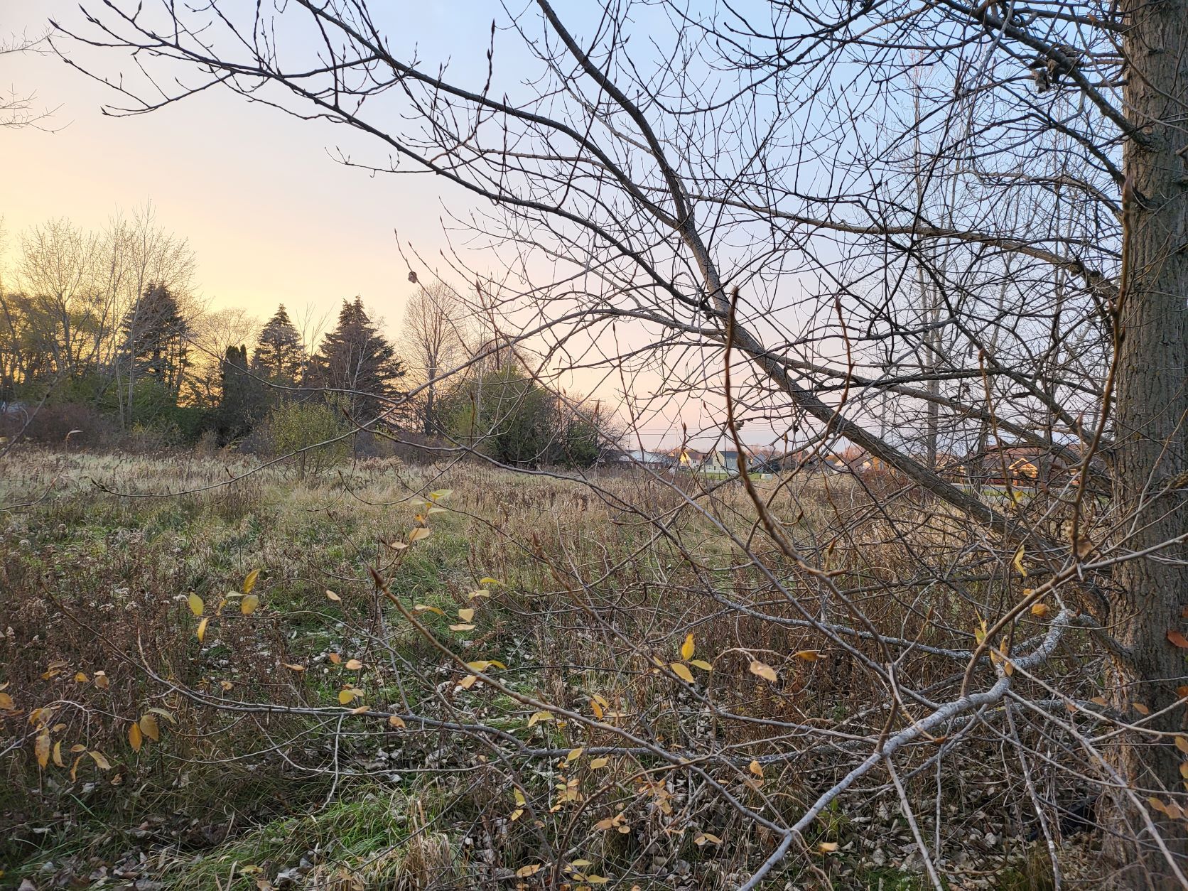 TBD East Broomfield Road, Mount Pleasant, MI à vendre Autre– Image 1 sur 5