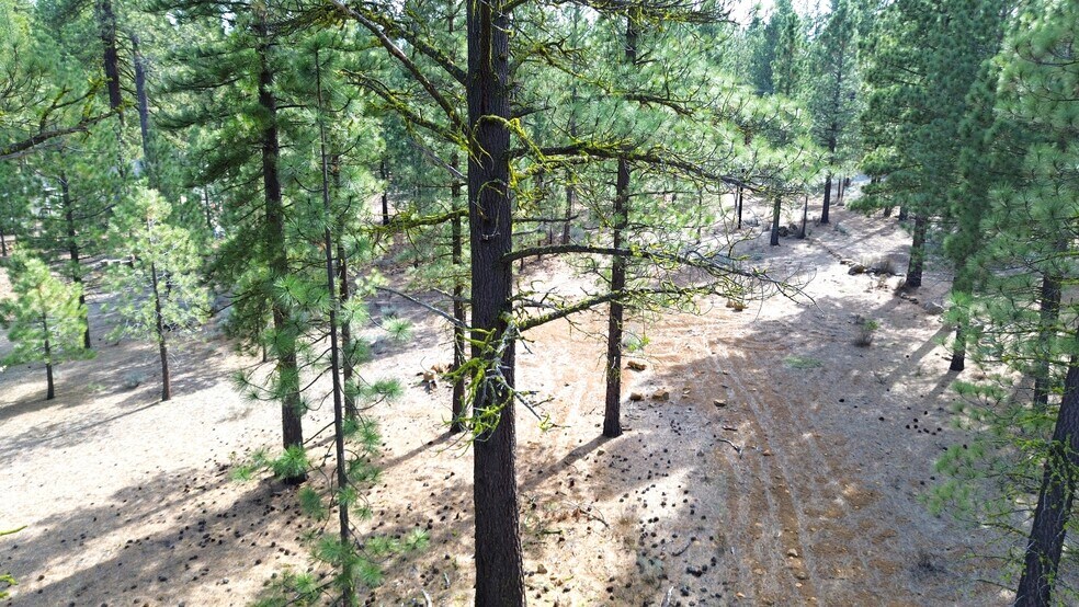 42451 Blue Heron cir, Old Station, CA à vendre - Photo de l’immeuble – Image 3 sur 11