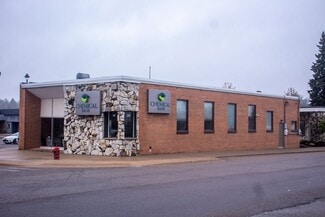 Plus de détails pour 102 W Main St, Belding, MI - Bureau, Local commercial à louer