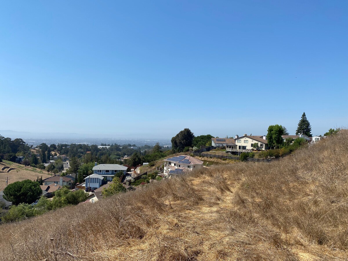 View Photo