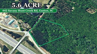 Plus de détails pour Savany Hunt Creek Rd, Gaston, SC - Terrain à vendre