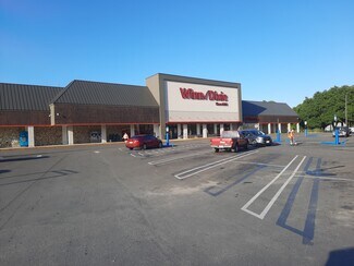 Plus de détails pour 15912-15956 E Highway 40, Silver Springs, FL - Local commercial à louer