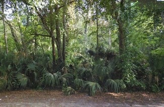 Plus de détails pour 990 Alabama Ave, Holly Hill, FL - Terrain à vendre