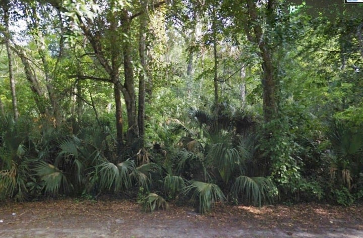 990 Alabama Ave, Holly Hill, FL à vendre Photo principale– Image 1 sur 6