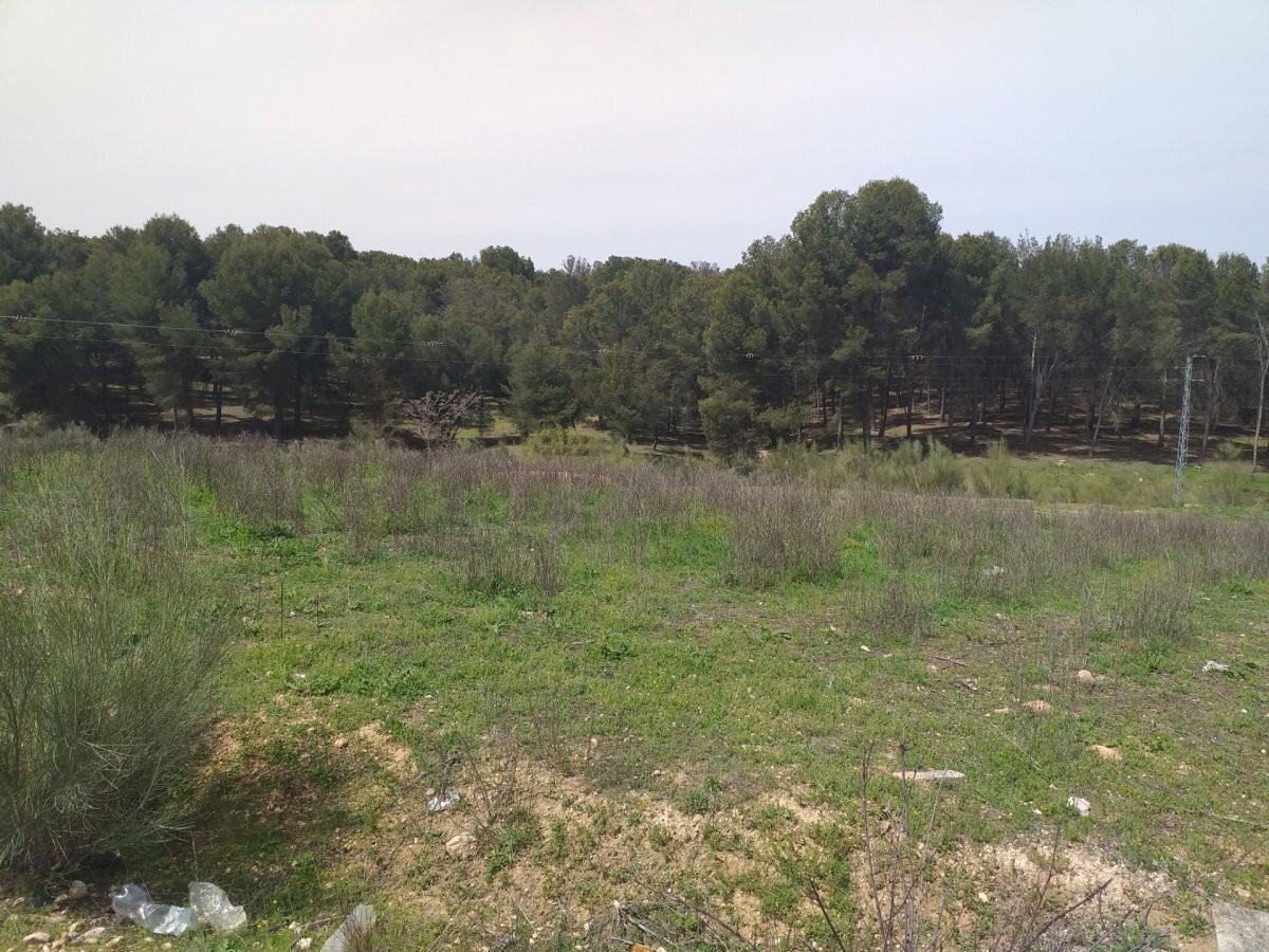 Industriel/Logistique dans Láchar, Granada à vendre Plan de site– Image 1 sur 6