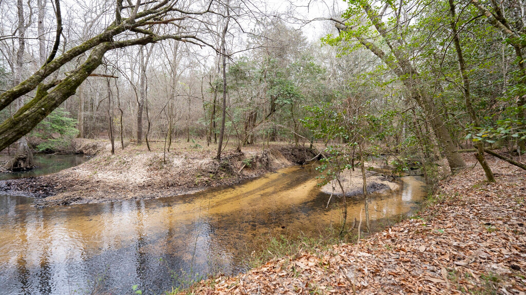 500 Old Milledgeville Rd, Cochran, GA à vendre Photo principale– Image 1 sur 53