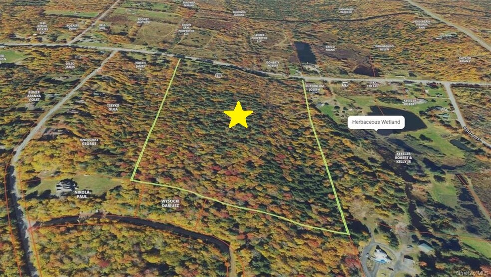 1195 State Route 17B, Bethel, NY à vendre - Plan cadastral – Image 3 sur 30