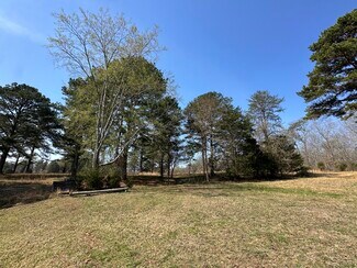 Plus de détails pour 7312 Highway 60, Georgetown, TN - Terrain à vendre