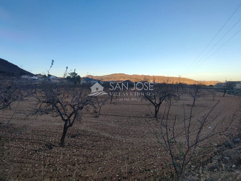 Terrain dans La Romana, Alicante à vendre - Photo principale – Image 3 sur 7