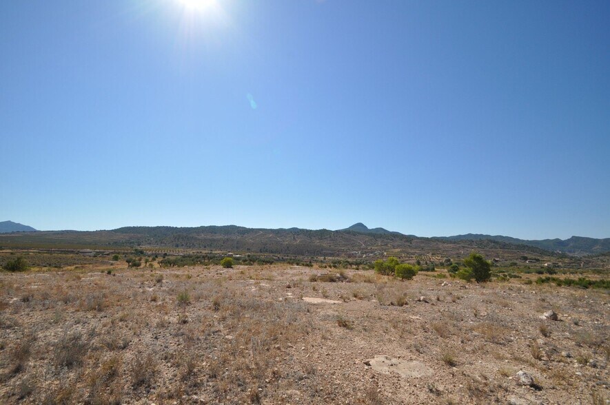 Terrain dans Abanilla, Murcia à vendre - Photo principale – Image 2 sur 14