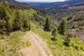 Plus de détails pour 0 Snag Mountain Road, Washougal, WA - Terrain à vendre