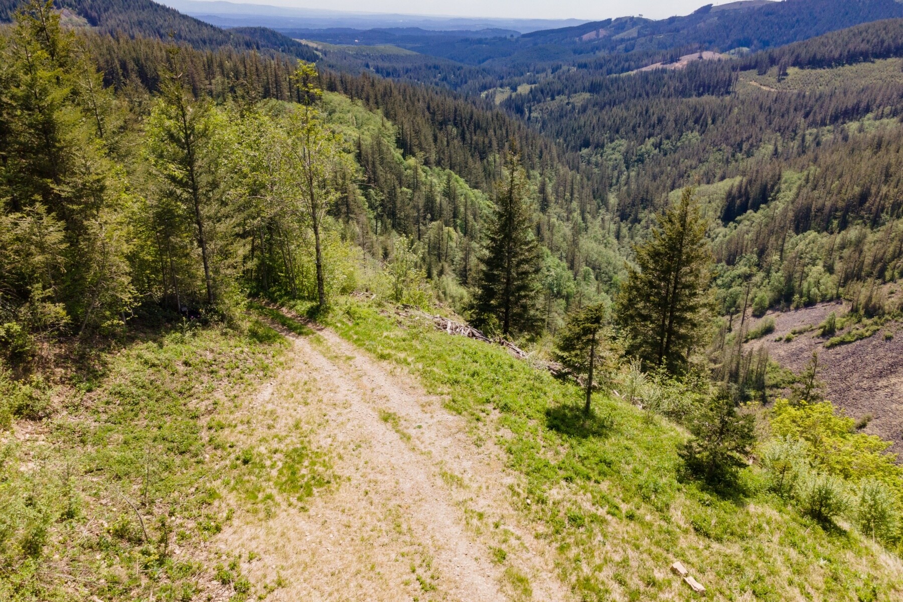 0 Snag Mountain Road, Washougal, WA à vendre Photo principale– Image 1 sur 41