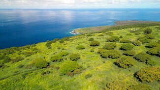 Plus de détails pour 82-6159 Napoopoo Rd, Captain Cook, HI - Terrain à vendre