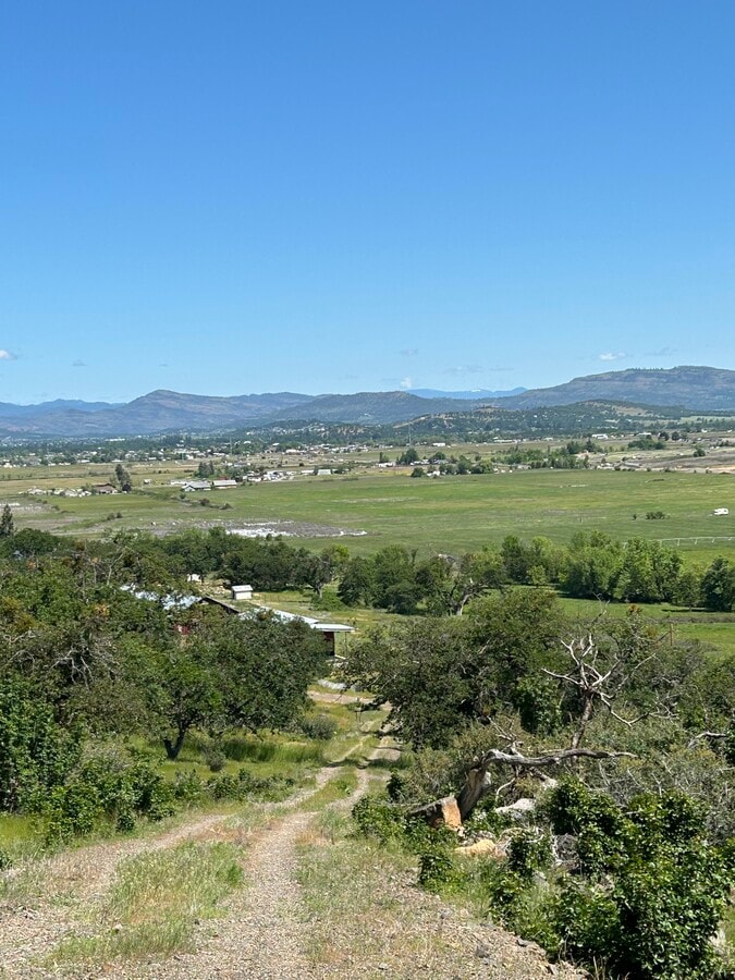 View Photo