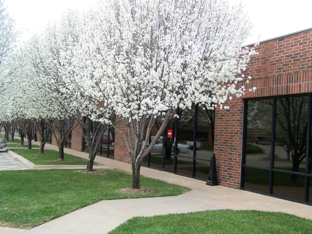 View Photo