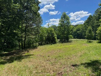 Plus de détails pour 860 Ridge Rd, Canton, GA - Terrain à vendre