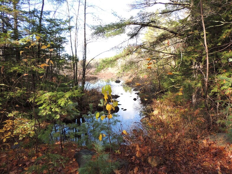 140 Chickville Rd, Ossipee, NH à vendre - Photo de l’immeuble – Image 2 sur 11
