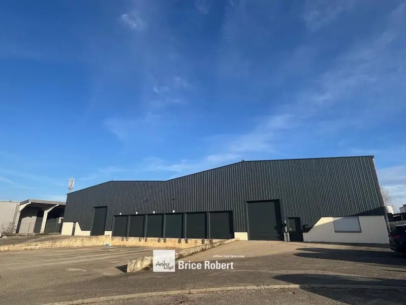 9 Avenue Du Maréchal De Lattre De Tassigny, Meyzieu à louer Photo de l’immeuble– Image 1 sur 8