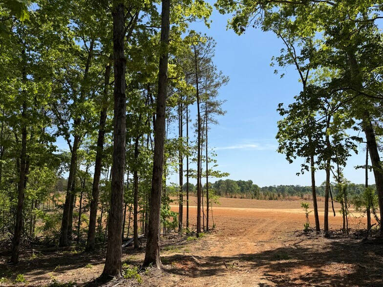 Hidden Harbor Road road, Lincolnton, GA à vendre - Photo de l’immeuble – Image 2 sur 45