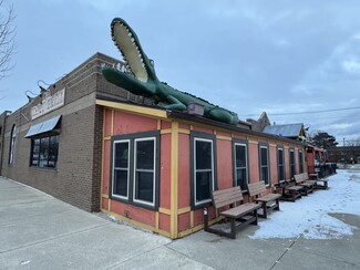 Plus de détails pour 404 Main St, Belleville, MI - Local commercial à vendre