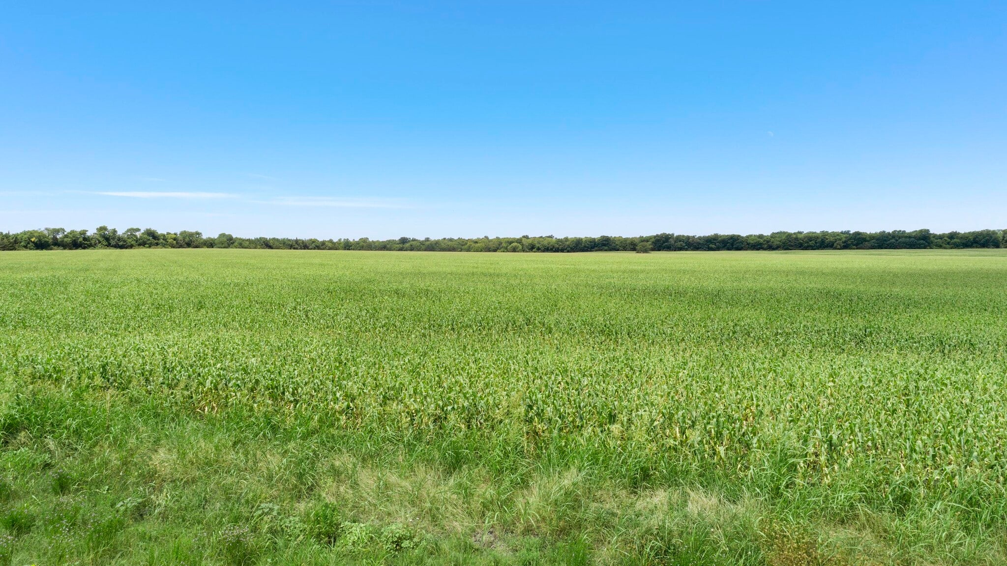 CR-1067, Greenville, TX à vendre Photo principale– Image 1 sur 14