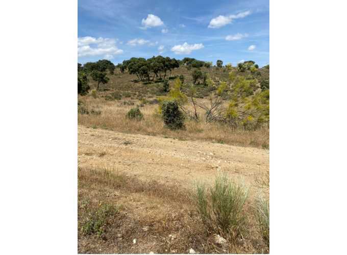 Terrain dans Navas del Rey, Madrid à vendre - Photo de l’immeuble – Image 2 sur 4