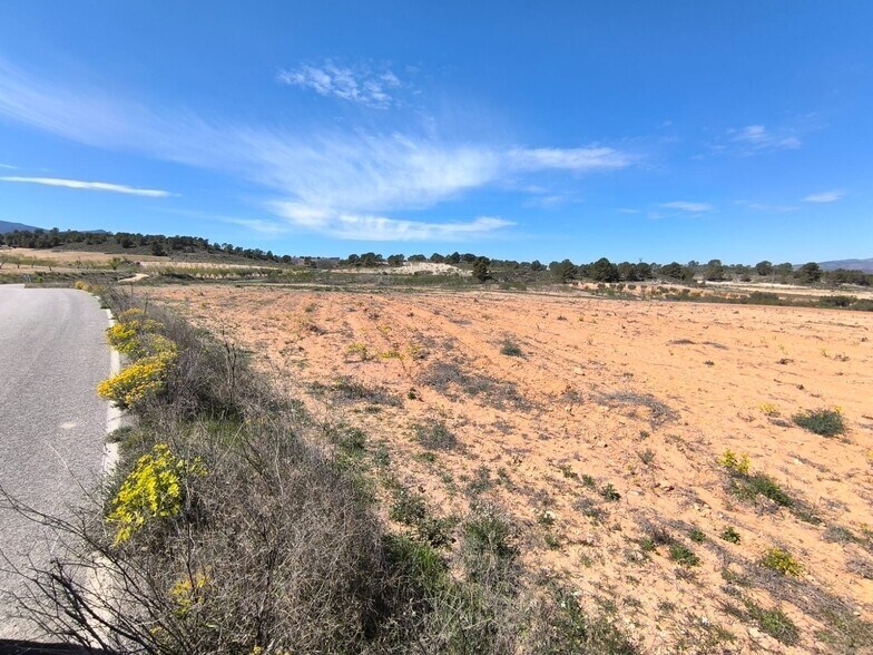 Terrain dans Jumilla, Murcia à vendre - Photo principale – Image 2 sur 4
