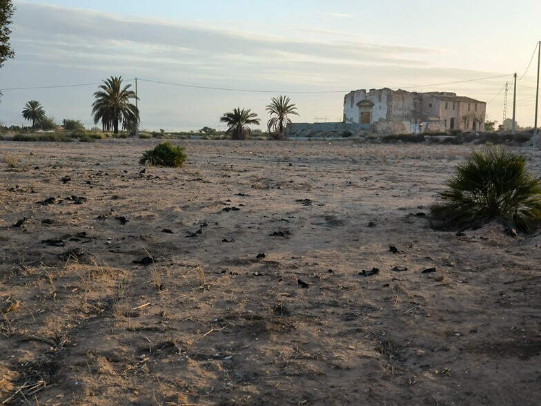 Terrain dans Elche, Alicante à vendre - Photo de l’immeuble – Image 2 sur 31