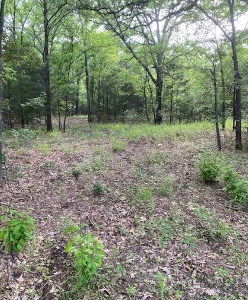 000, Kemp, TX à vendre - Photo de l’immeuble – Image 1 sur 3