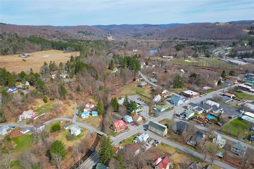 108 Main St, Livingston Manor, NY à vendre - Aérien – Image 3 sur 48