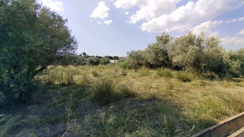 Terrain dans Calasparra, Murcia à vendre - Photo de l’immeuble – Image 2 sur 7