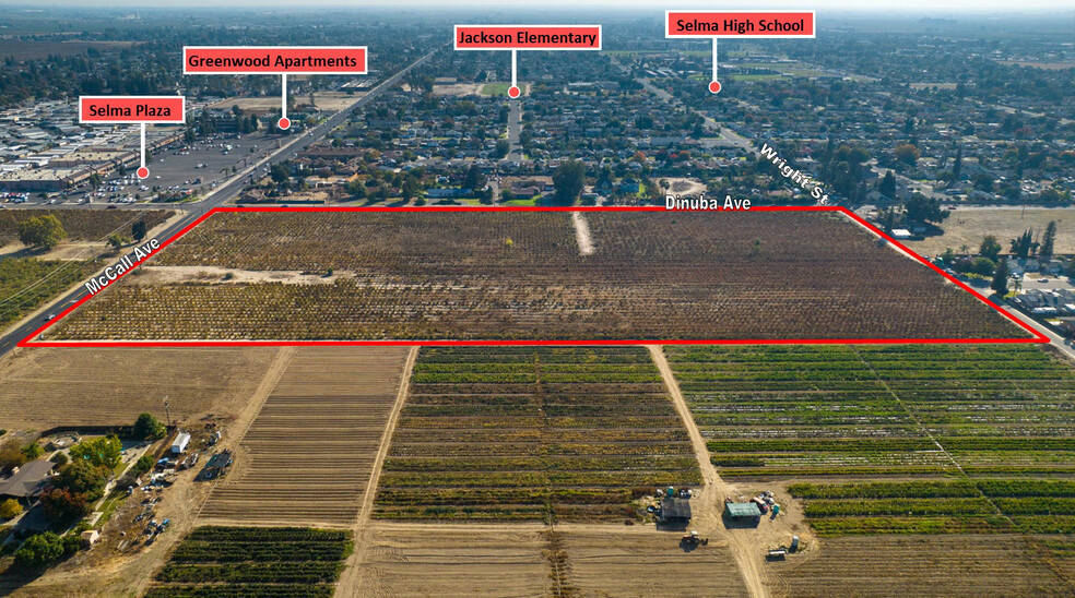 9885 S McCall Ave, Selma, CA à vendre - Photo de l’immeuble – Image 2 sur 4