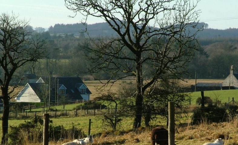 View Photo