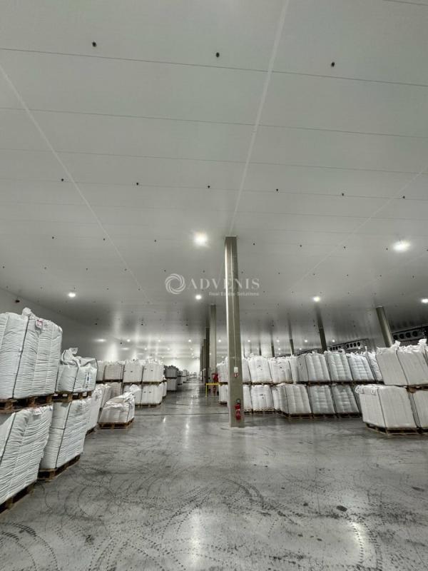 Plus de détails pour Industriel/Logistique à louer