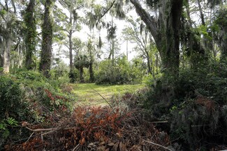 Plus de détails pour 10602 White Bluff Rd, Savannah, GA - Terrain à vendre