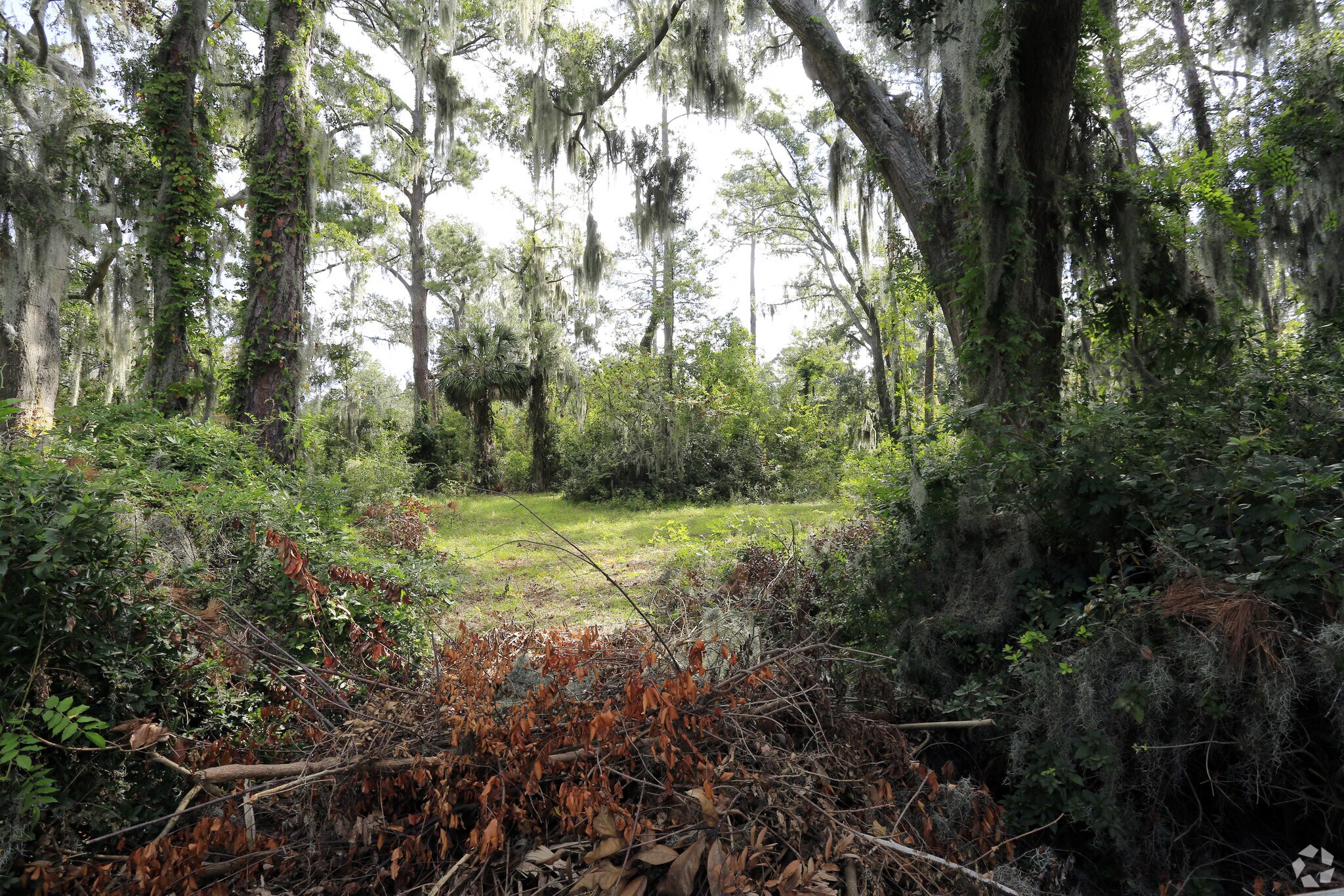10602 White Bluff Rd, Savannah, GA à vendre Photo principale– Image 1 sur 4