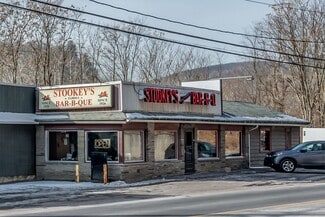 Plus de détails pour 122 E Poplar St, Nanticoke, PA - Local commercial à vendre