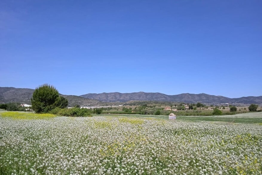 Ip, 09, Agullent, Valencia à vendre - Photo de l’immeuble – Image 2 sur 8